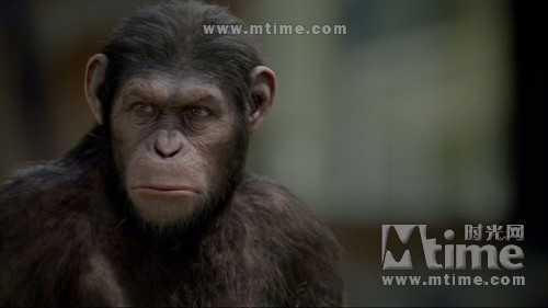 猩球崛起Rise of the planet of the apes(2011)剧照 #09