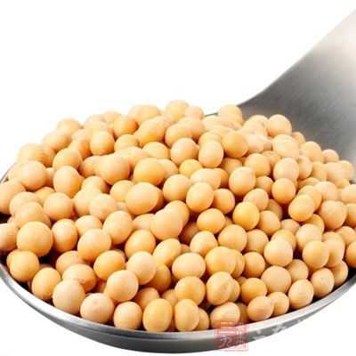 豆类含有卵磷脂